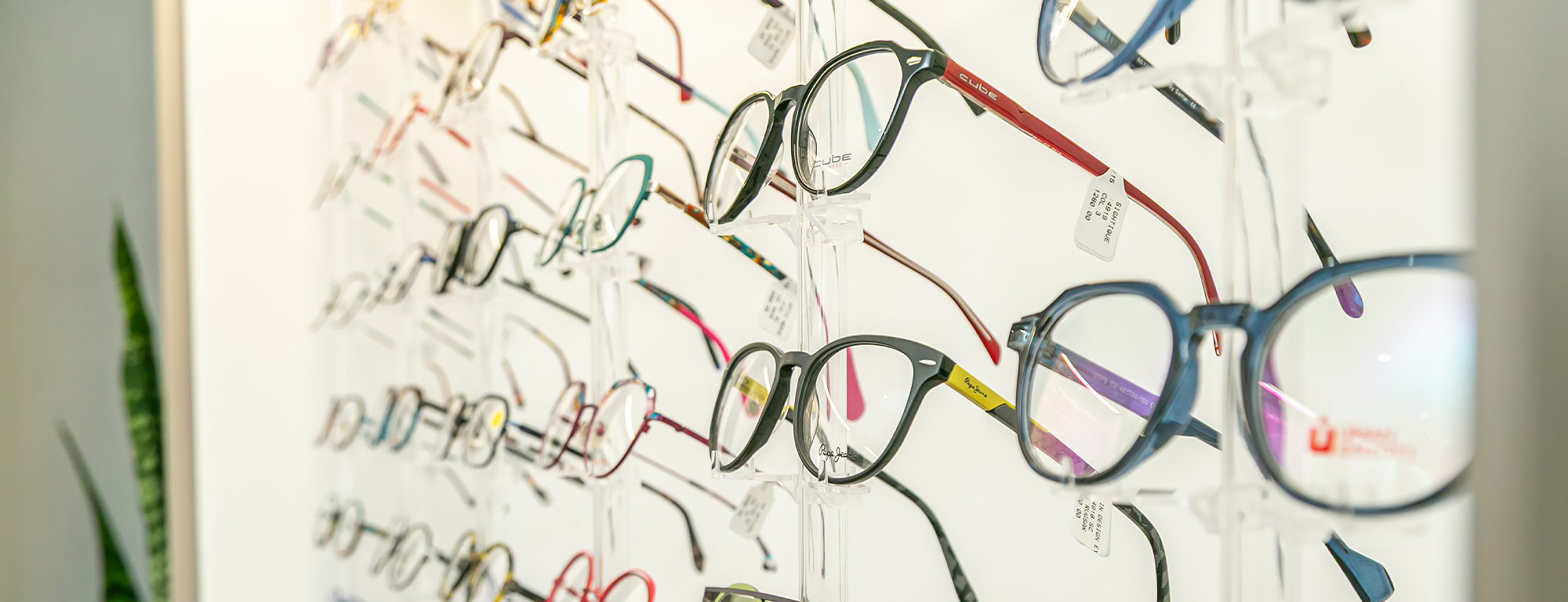 Eyewear at Slabber & Slabbert 2025